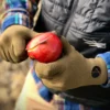 Cross Point Gear Waterproof Gloves | Pro-Wool